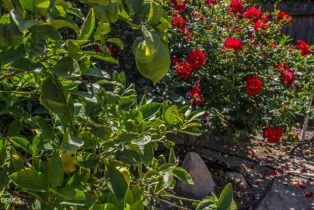 Single Family Residence, 8984 Santa Margarita rd, Ventura, CA 93004 - 23