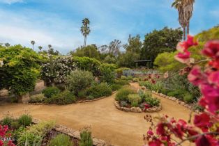 Single Family Residence, 4158 Grand ave, Ojai, CA 93023 - 34