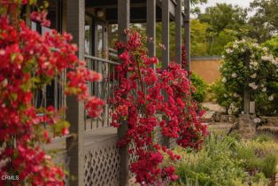Single Family Residence, 4158 Grand ave, Ojai, CA 93023 - 41