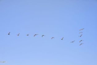 Single Family Residence, 325 Ocean dr, Oxnard, CA 93035 - 49