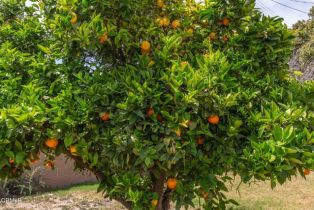 Single Family Residence, 4117 C st, Oxnard, CA 93033 - 28