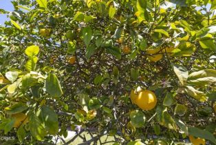 Single Family Residence, 2206 Ventura rd, Oxnard, CA 93036 - 35