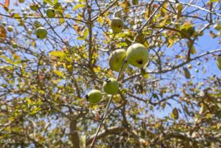 Single Family Residence, 2206 Ventura rd, Oxnard, CA 93036 - 36