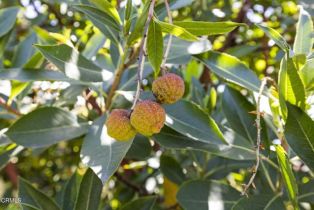 Single Family Residence, 2206 Ventura rd, Oxnard, CA 93036 - 37