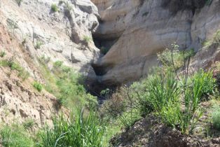 Residential Income, 17000 Mountain rd, Santa Paula, CA 93060 - 14