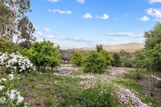 Single Family Residence, 12986 Macdonald dr, Ojai, CA 93023 - 41