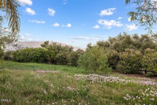 Single Family Residence, 12986 Macdonald dr, Ojai, CA 93023 - 45