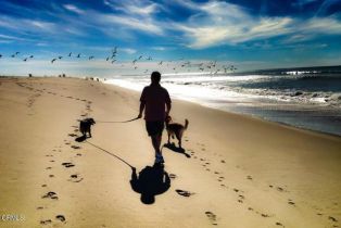 Single Family Residence, 256 Melrose dr, Oxnard, CA 93035 - 7