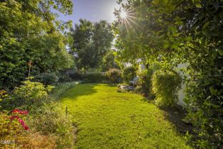 Single Family Residence, 1141 Anita ave, Ojai, CA 93023 - 25