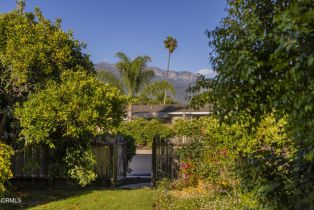 Single Family Residence, 1141 Anita ave, Ojai, CA 93023 - 3