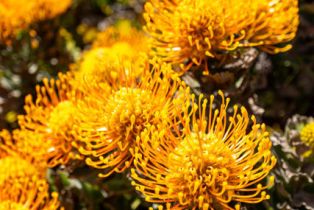 , 99 Cerro Crest dr, Camarillo, CA 93010 - 16