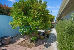 Single Family Residence, 246 Crestwood ave, Ventura, CA 93003 - 44