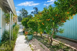 Single Family Residence, 246 Crestwood ave, Ventura, CA 93003 - 45