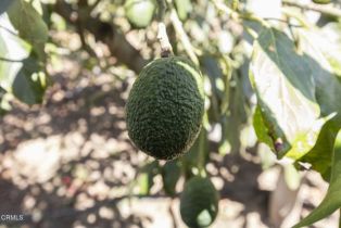 Single Family Residence, 400 Alosta dr, Camarillo, CA 93010 - 41