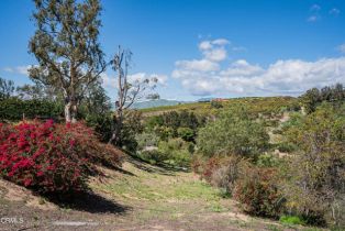 Single Family Residence, 6065 Cielo Vista ct, Camarillo, CA 93012 - 54