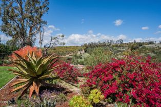 Single Family Residence, 6065 Cielo Vista ct, Camarillo, CA 93012 - 55