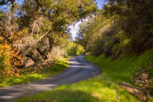 Single Family Residence, 15990 Maricopa hwy, Ojai, CA 93023 - 41