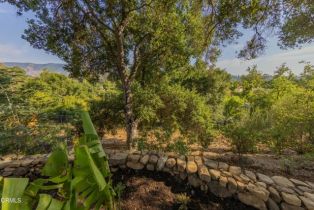 Single Family Residence, 1068 Cuyama rd, Ojai, CA 93023 - 28