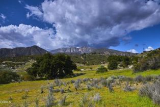 Single Family Residence, 12179 Koenigstein rd, Santa Paula, CA 93060 - 18