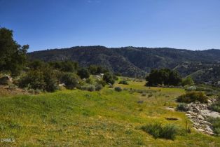 Single Family Residence, 12179 Koenigstein rd, Santa Paula, CA 93060 - 43