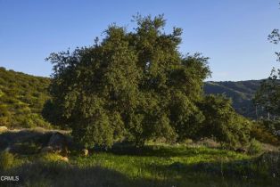 Single Family Residence, 12179 Koenigstein rd, Santa Paula, CA 93060 - 9