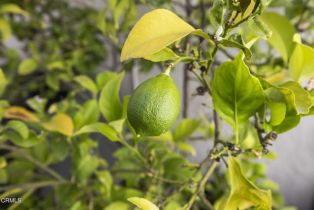 Condominium, 2036 Birchdale ct, Thousand Oaks, CA 91362 - 32