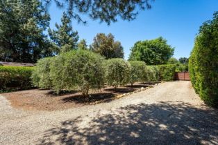 Single Family Residence, 908 Tico rd, Ojai, CA 93023 - 45