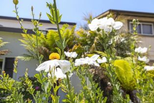 Single Family Residence, 2036 Pierpont blvd, Ventura, CA 93001 - 9