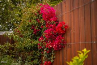 Single Family Residence, 33 Alhambra ave, Ventura, CA 93004 - 27