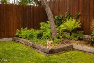 Single Family Residence, 33 Alhambra ave, Ventura, CA 93004 - 28