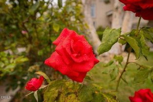 Single Family Residence, 33 Alhambra ave, Ventura, CA 93004 - 31