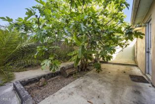 Single Family Residence, 1727 San Nicholas st, Ventura, CA 93001 - 36