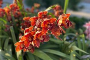 Condominium, 350 Paseo De Playa, Ventura, CA 93001 - 36