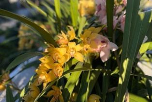 Condominium, 350 Paseo De Playa, Ventura, CA 93001 - 37