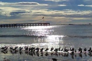 Condominium, 350 Paseo De Playa, Ventura, CA 93001 - 54