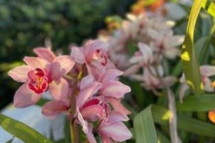 Condominium, 350 Paseo De Playa, Ventura, CA 93001 - 35