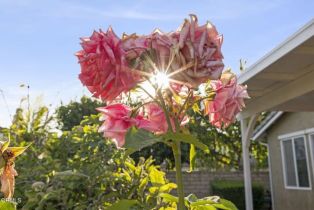 Single Family Residence, 3806 Golden Pond dr, Camarillo, CA 93012 - 65