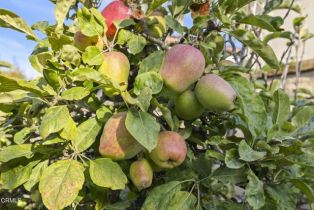 Single Family Residence, 3806 Golden Pond dr, Camarillo, CA 93012 - 66