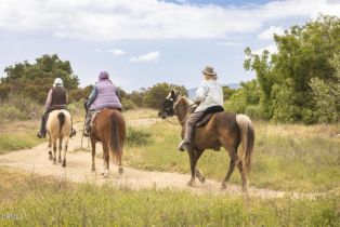 , 1797 Foothill rd, Ojai, CA 93023 - 17