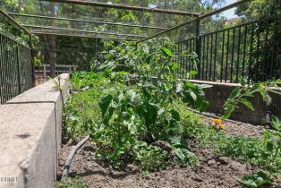 Single Family Residence, 11558 Sumac ln, Camarillo, CA 93012 - 62