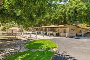 Single Family Residence, 3951 Tims rd, Santa Ynez, CA 93460 - 33