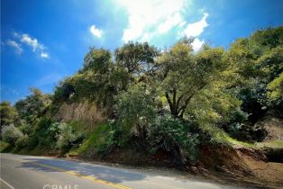 Land, 0 Old Topanga Canyon Road, Calabasas, CA  Calabasas, CA 90290