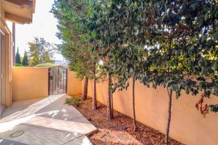 Townhouse, 129 El Dorado st, Arcadia , CA 91006 - 18