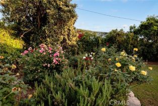 Single Family Residence, 2520 Louise ave, Arcadia , CA 91006 - 25