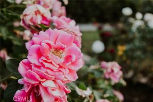 Single Family Residence, 2520 Louise ave, Arcadia , CA 91006 - 26