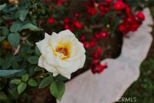 Single Family Residence, 2520 Louise ave, Arcadia , CA 91006 - 27