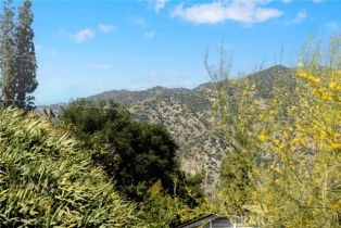 Single Family Residence, 250 Hillgreen pl, Arcadia , CA 91006 - 53