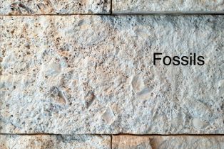 Single Family Residence, 250 Hillgreen pl, Arcadia , CA 91006 - 61